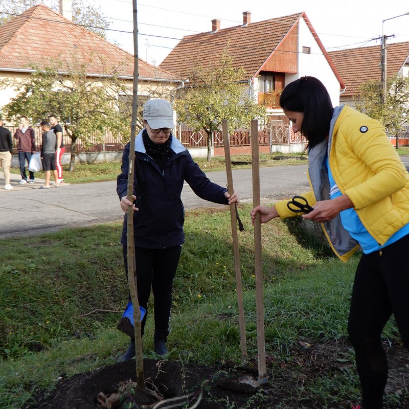Közösségi faültetés Berettyóújfaluban 65